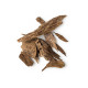Agar Oudh
