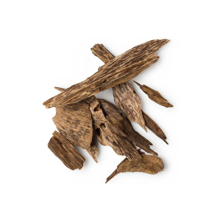 Agar Oudh